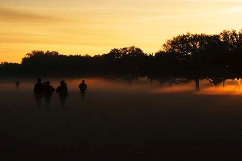 Fog_8910